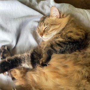 Meet your Posher, Harmony